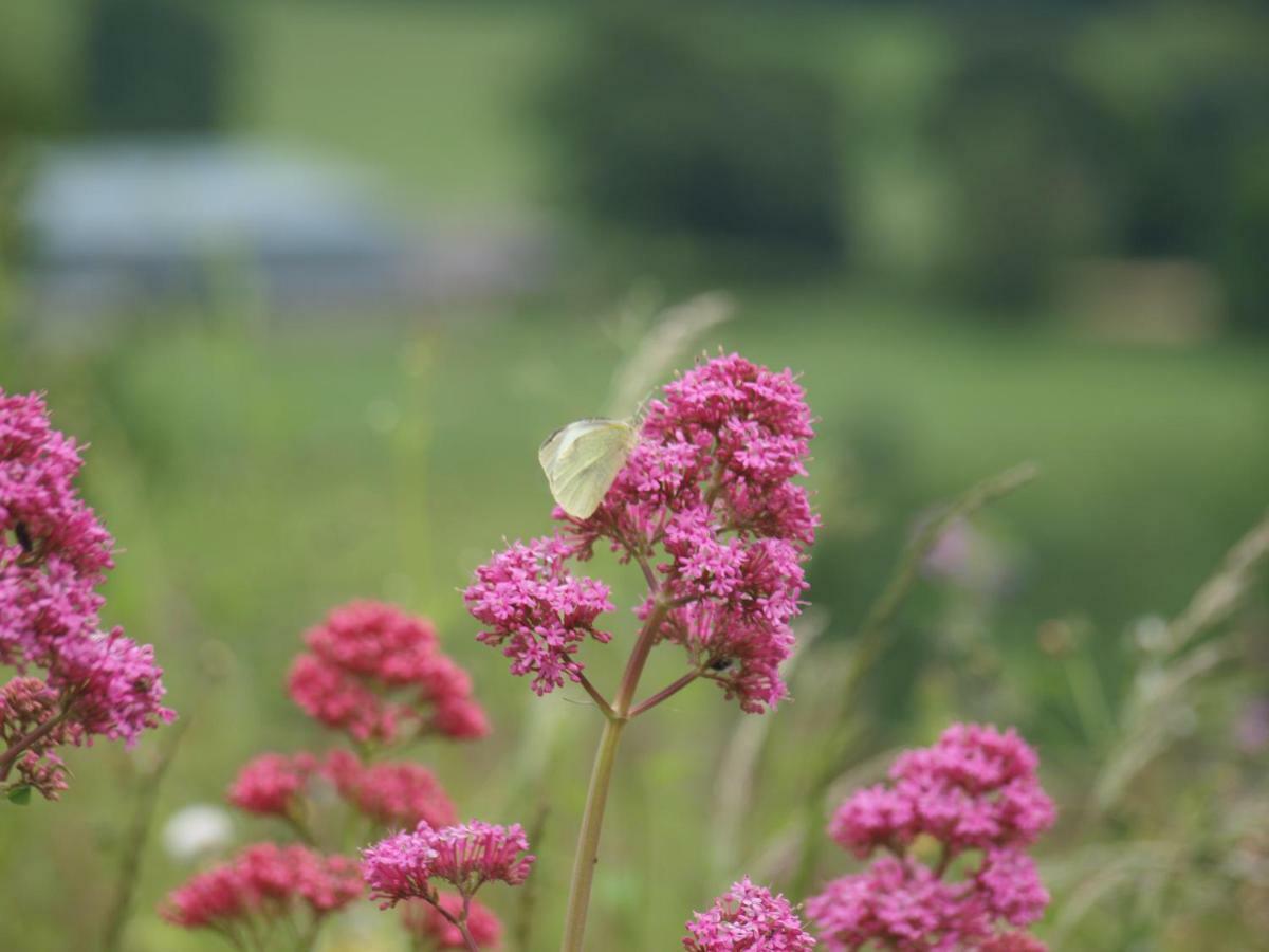 Incheoch Farm Cottage Kilry Bagian luar foto