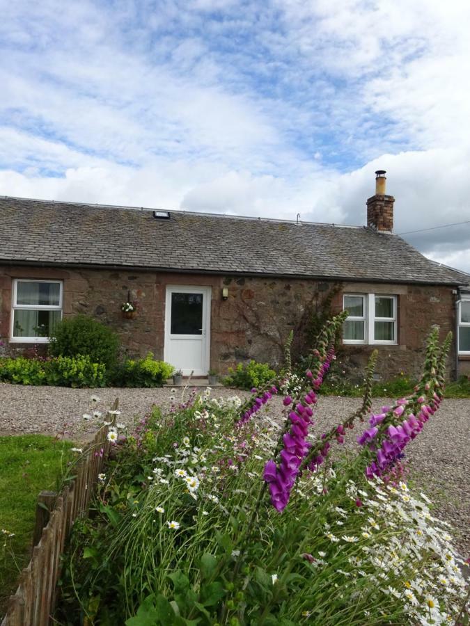 Incheoch Farm Cottage Kilry Bagian luar foto